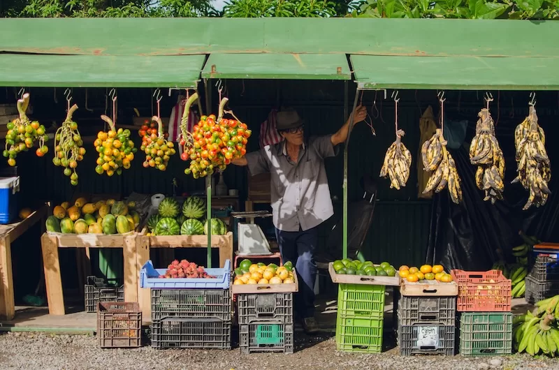 Fresh produce bought directly from the source keeps costs low in many retirement-visa destinations, and the familiar faces behind the stall often become part of daily life.