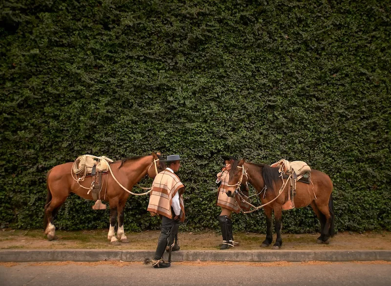 Huaso life in the central valleys. Horses saddled, ponchos draped, and a calm confidence that comes from knowing the land beneath your boots.