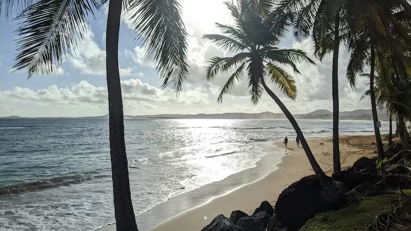 Morning light over a quiet beach in Puerto Rico, where warm tides and open skies set the pace for island living.