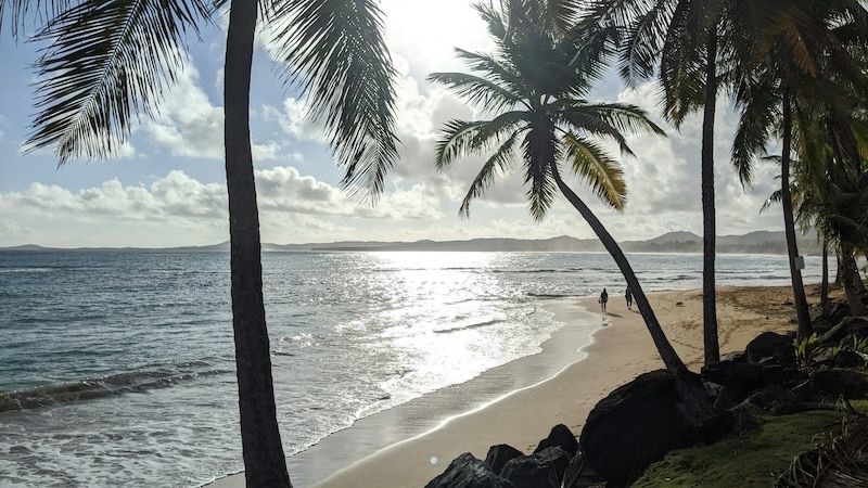 Morning light over a quiet beach in Puerto Rico, where warm tides and open skies set the pace for island living.