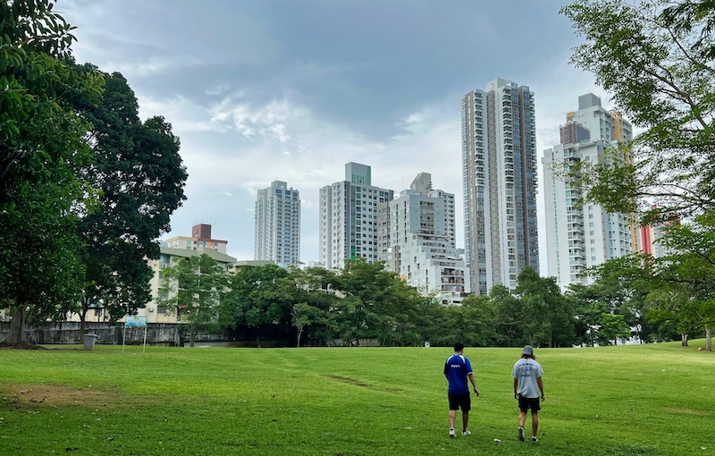 Green parks open into a skyline built for ambition, giving Panama City a mix of calm mornings and high-rise momentum. The convenience feels immediate, though every step toward urban comfort nudges the budget higher than life in smaller towns.