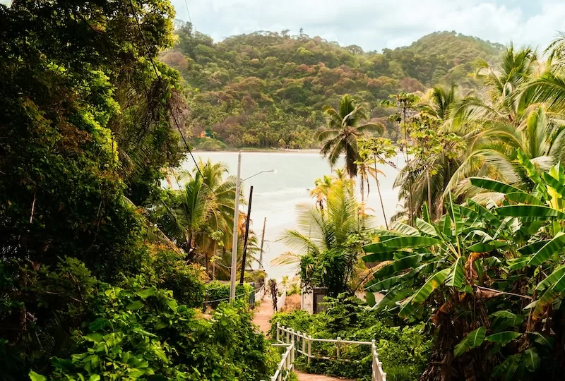 Palm-lined paths lead straight to the Pacific, days lean into sea breezes and warm evenings. Life feels simple and social, though access to certain comforts depends on how close you stay to the highway and the nearest market run.