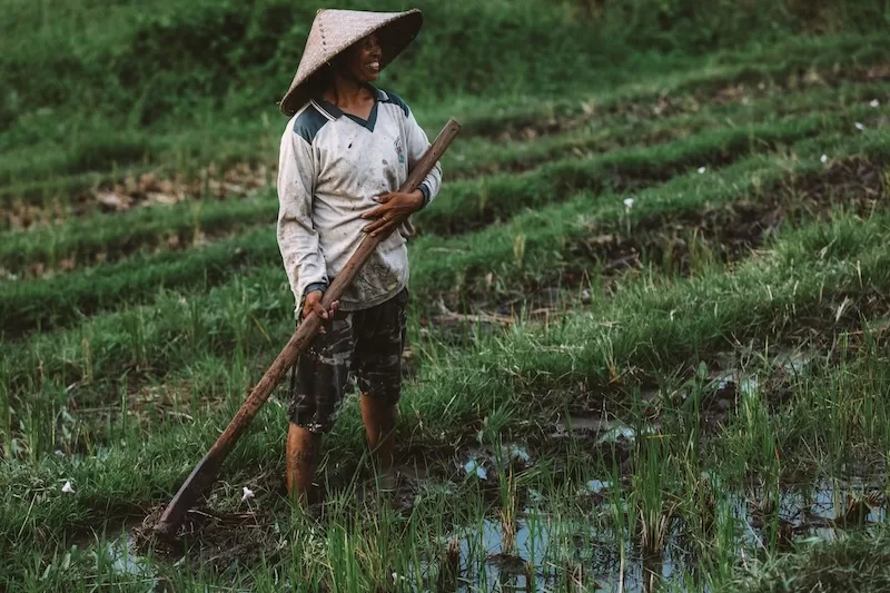 When the fields are your neighbor, you notice how much life depends on water, weather, and patience. A friendly greeting in Bahasa opens the door to understanding that cadence.