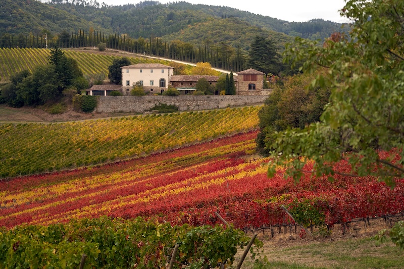 The harvest season in Tuscany: fields burn with color, air thick with smoke and ripe fruit, and every village marked by the sound of work and celebration.