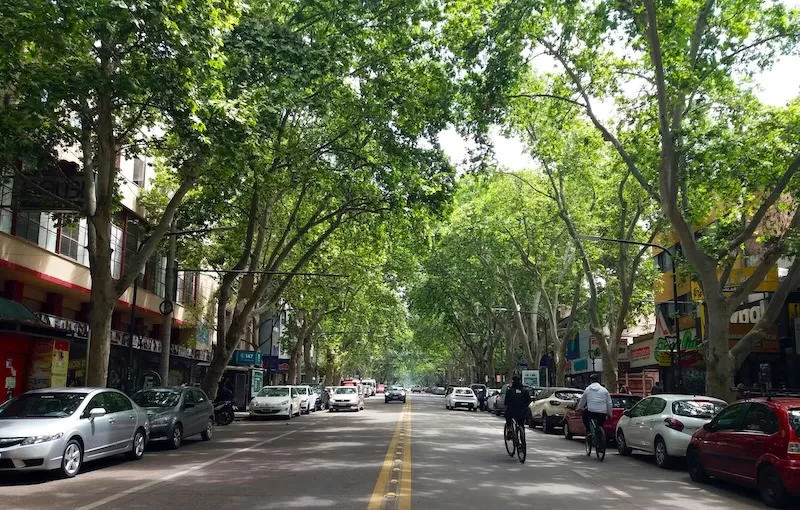 Tree-lined streets and mountain air give Mendoza a softer pace. Bikes replace traffic and weekends revolve around wine country. For expats, it’s a place that trades big-city rush for time that feels well spent.