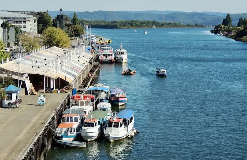 Boats lined up along the waterfront in Valdivia. Celebrations here begin with the sea and the people who read its tides: Saint Peter’s blessings, shared meals and stories carried by the waves.