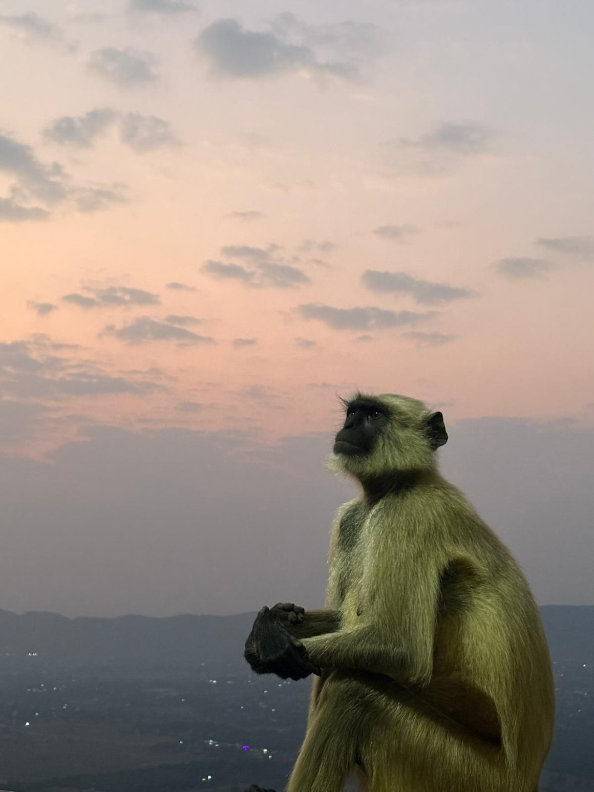 The Real Meaning of Finding Yourself in India