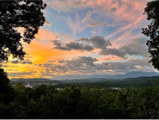 Pigeon Forge Unveiled: A Journey Through Culture, Adventure, and Nature