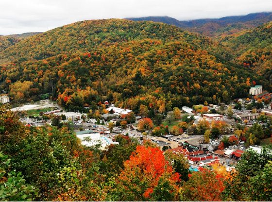 Fun-Filled Family Activities to Try on Your Next Mountain Getaway