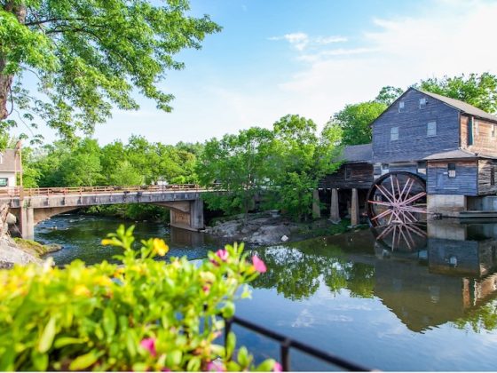 Things to Look for When Picking a Restaurant While Traveling