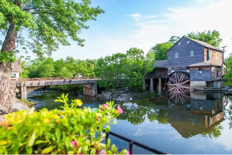 Things to Look for When Picking a Restaurant While Traveling