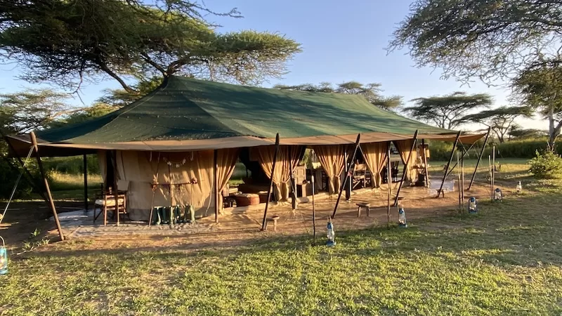 Tented life on the Serengeti plains.