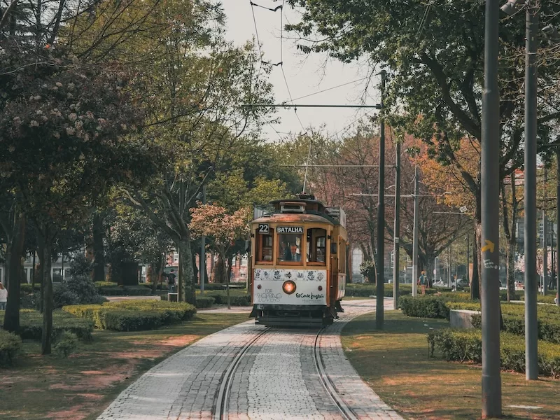 Lisbon yellow tram on tree-lined street with autumn foliage representing affordable Portuguese city for long-term living and residency