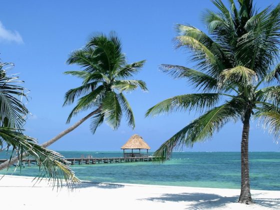 Belize Offshore Banking