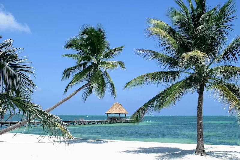 Belize Offshore Banking