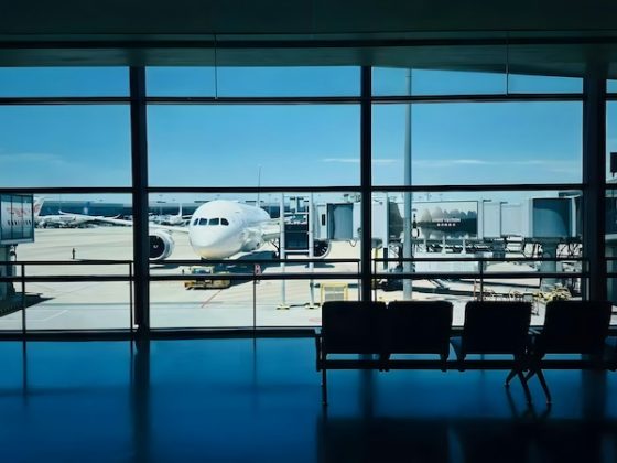 Top Personalised Travel Companies for Frequent Flyers in 2026