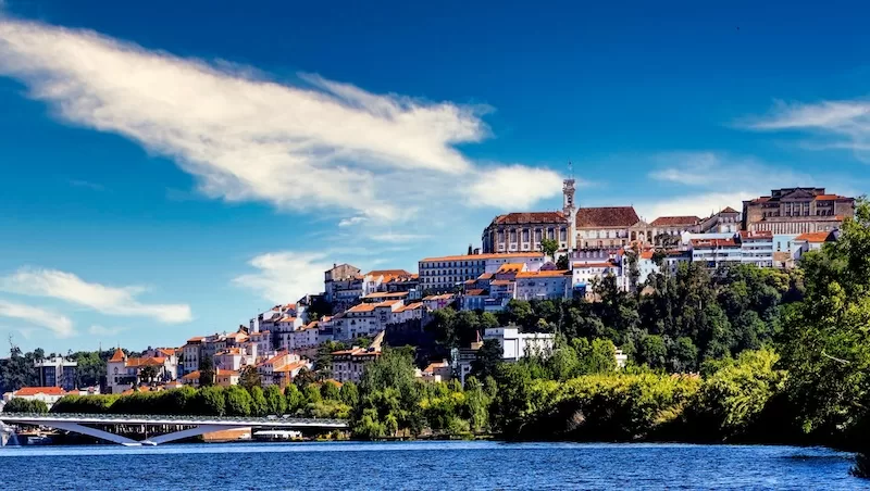 Retirees come for the scenery and stay for the stability. Reliable healthcare, easy travel across borders, and everyday beauty right outside the window.