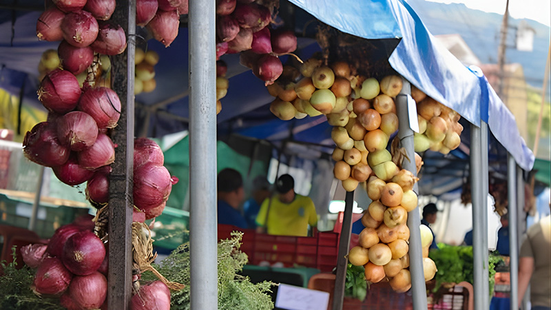At neighborhood ferias, produce arrives with the morning dew still clinging to it. Simplicity costs little here, and flavor reminds you that the valley still feeds its own.