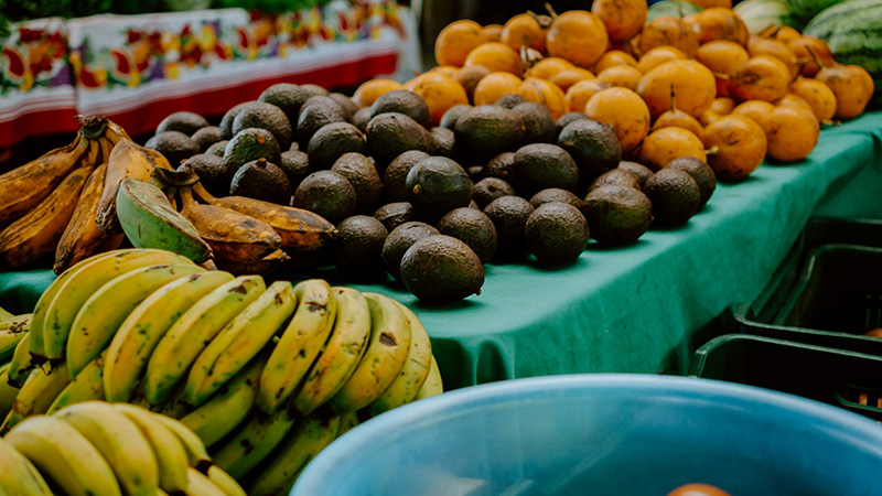 A few blocks from polished storefronts, flavors grow louder. Produce stacked high under bright tarps turns errands into small celebrations rooted in the land beneath the city.