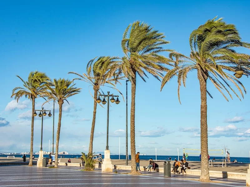 Valencia Spain beachfront promenade with palm trees and Mediterranean sea showing affordable Western European city with coastal living