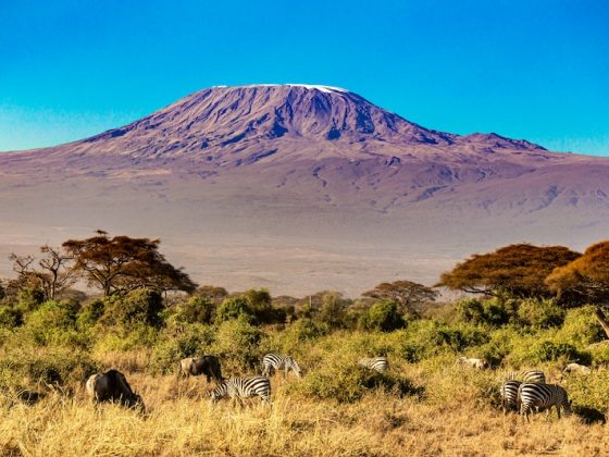 Planning Your Kilimanjaro Journey With Experts