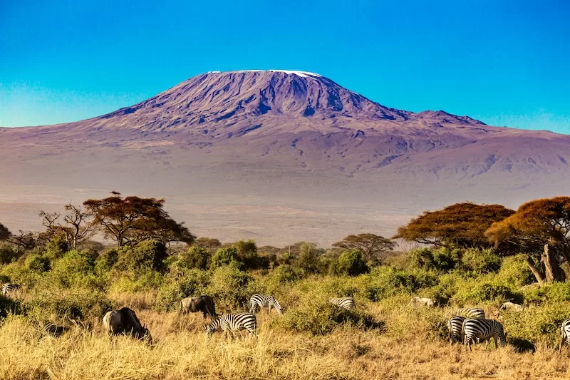 Planning Your Kilimanjaro Journey With Experts