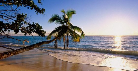 Financial Optionality for Expats and Why Flexibility Matters More Than Location