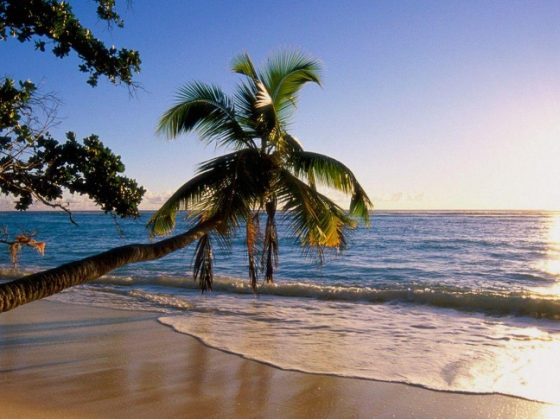 Financial Optionality for Expats and Why Flexibility Matters More Than Location