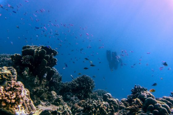 Pack This List For Your First Marsa Alam Liveaboard Trip