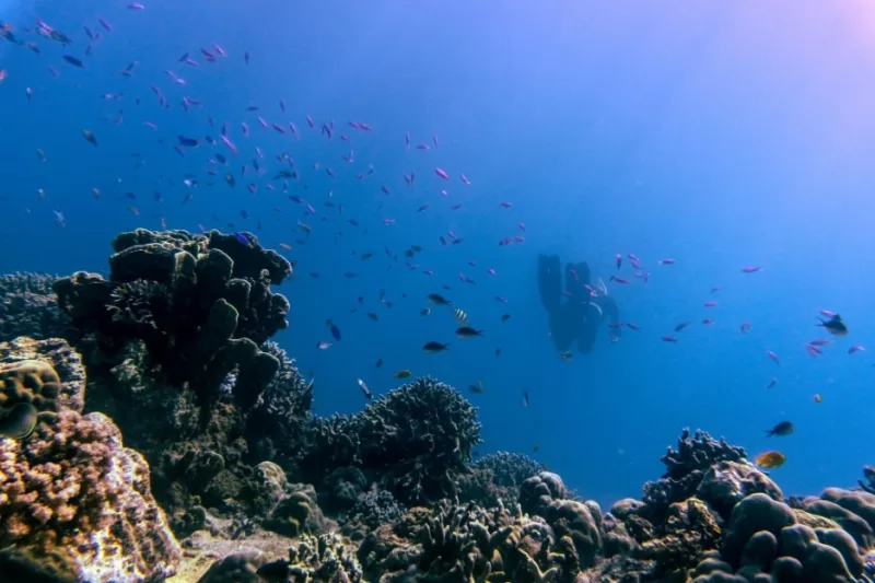 Pack This List For Your First Marsa Alam Liveaboard Trip