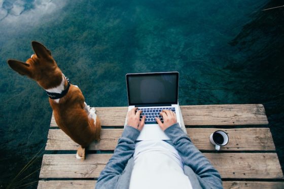 A person works on a laptop with a cup of coffee on a wooden dock, with their dog sitting beside them, embodying the concept of bleisure travel and work-life balance.