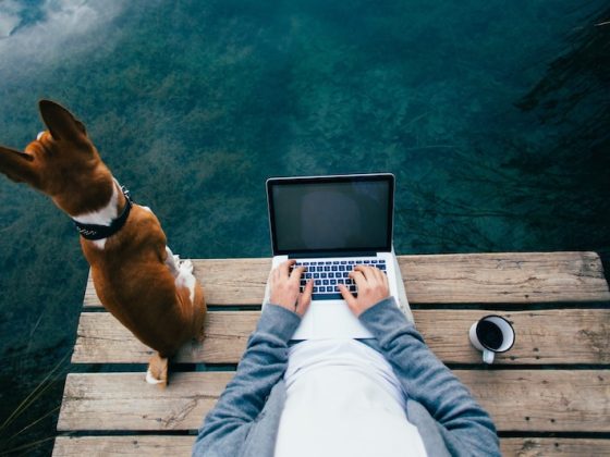 A person works on a laptop with a cup of coffee on a wooden dock, with their dog sitting beside them, embodying the concept of bleisure travel and work-life balance.