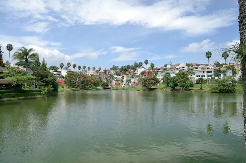 A wide view of a serene lake in Xalapa, with the city's beautiful homes and palm trees in the background, illustrating the natural beauty of the region.