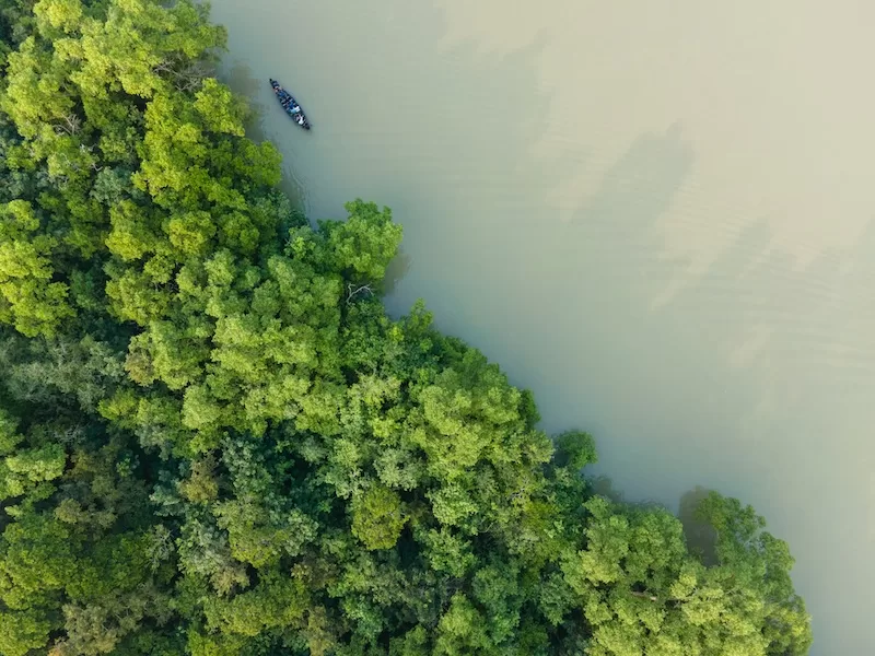 Aerial view of dense rainforest and river with boat showing Sundarbans mangrove forest ecosystem and human-tiger conflict in UNESCO World Heritage Site