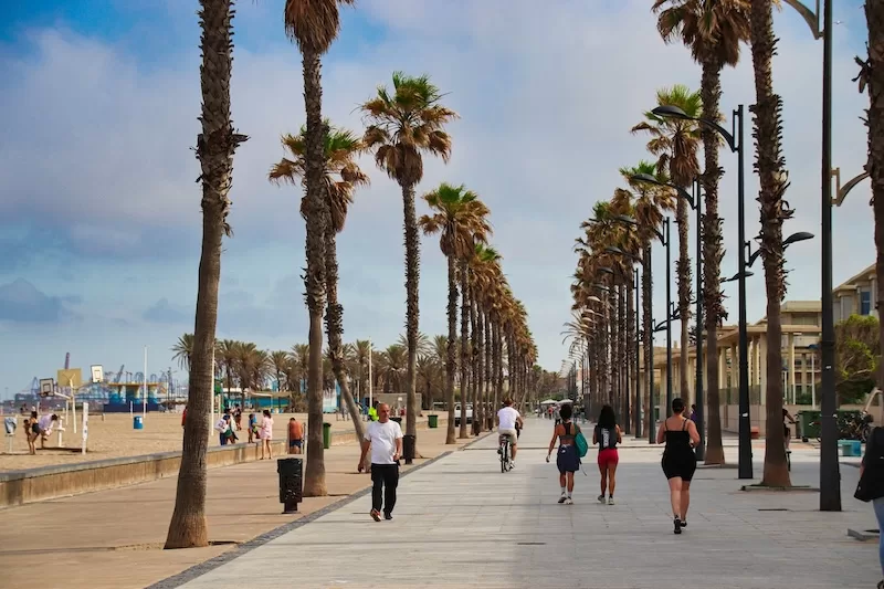 Mediterranean beach promenade with palm trees and people walking showing coastal lifestyle appeal for relocation and migration