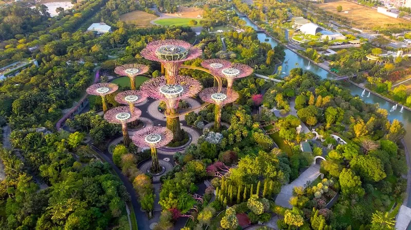 An aerial view of the lush, futuristic Gardens by the Bay in Singapore, a top destination for expats seeking financial advantages and a high quality of life.