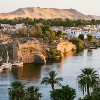 Traditional felucca sailboats glide along the Nile River in Aswan, surrounded by lush palm trees and ancient ruins under a clear, bright Egyptian sky.