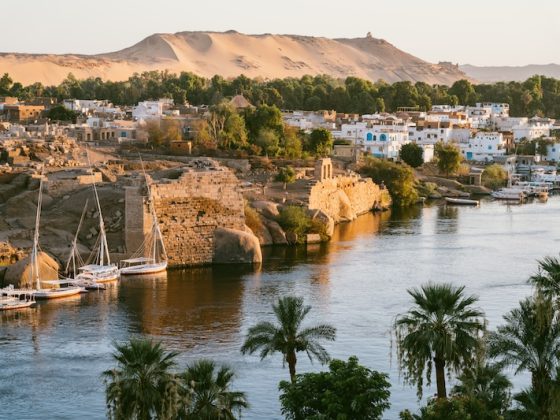 Traditional felucca sailboats glide along the Nile River in Aswan, surrounded by lush palm trees and ancient ruins under a clear, bright Egyptian sky.
