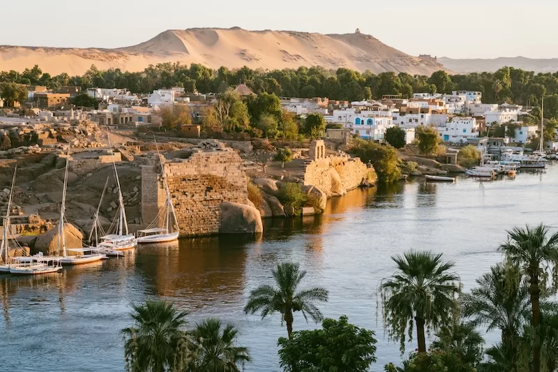 Traditional felucca sailboats glide along the Nile River in Aswan, surrounded by lush palm trees and ancient ruins under a clear, bright Egyptian sky.