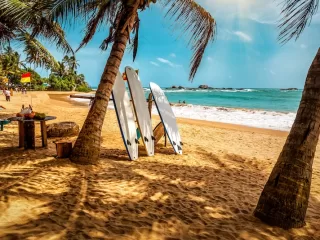 Surfboards lean against palm tree trunks on a golden sandy beach in Sri Lanka with turquoise ocean waves and rocky outcrops visible in the warm tropical light