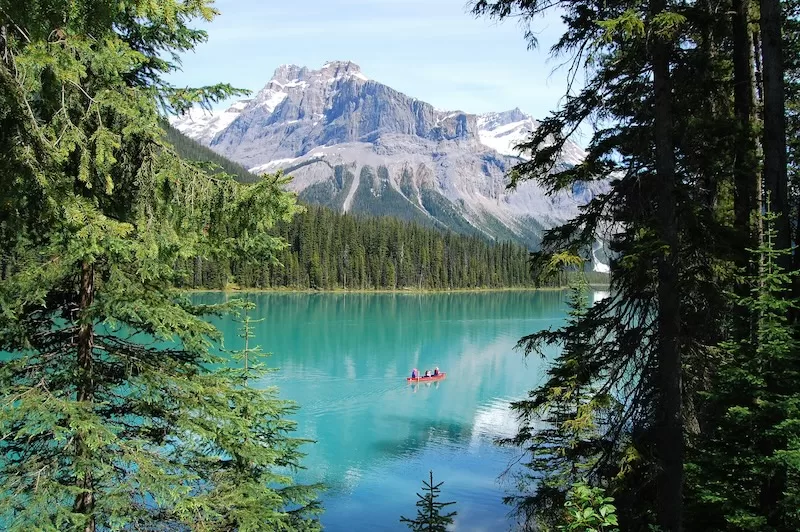 A vibrant turquoise lake, framed by lush green pine trees, reflects a majestic snow-capped mountain range in Canada, with a small canoe carrying people paddling peacefully. 