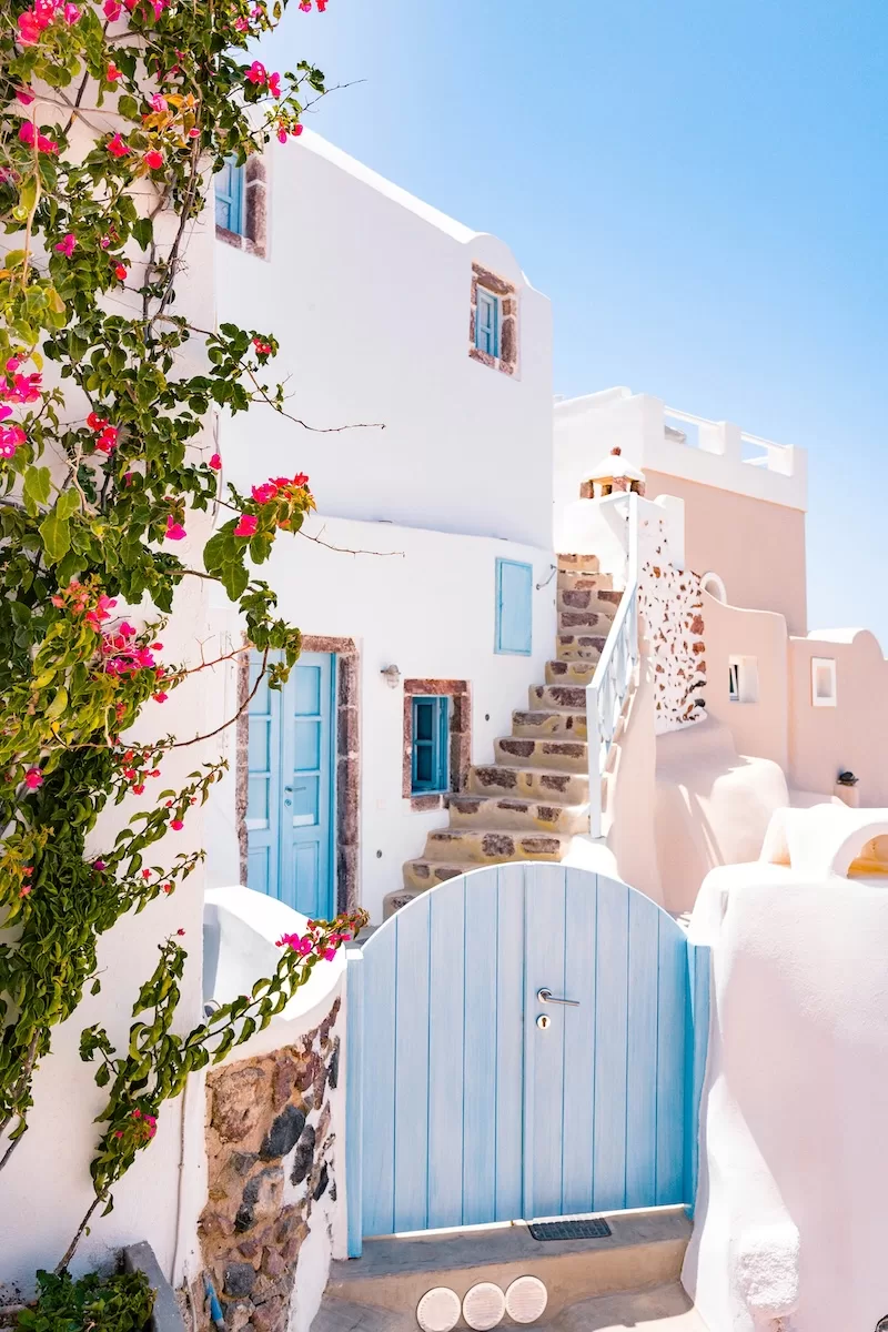 A charming narrow alleyway in Santorini, Greece, featuring traditional white buildings with light blue doors and windows, stone steps, and vibrant pink bougainvillea cascading over a wall. 