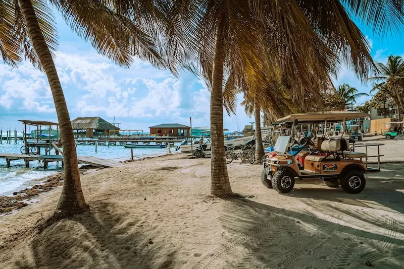Several golf carts are parked on a sandy beach path under leaning palm trees in San Pedro, Belize, with a thatched-roof pier and blue ocean in the background. 