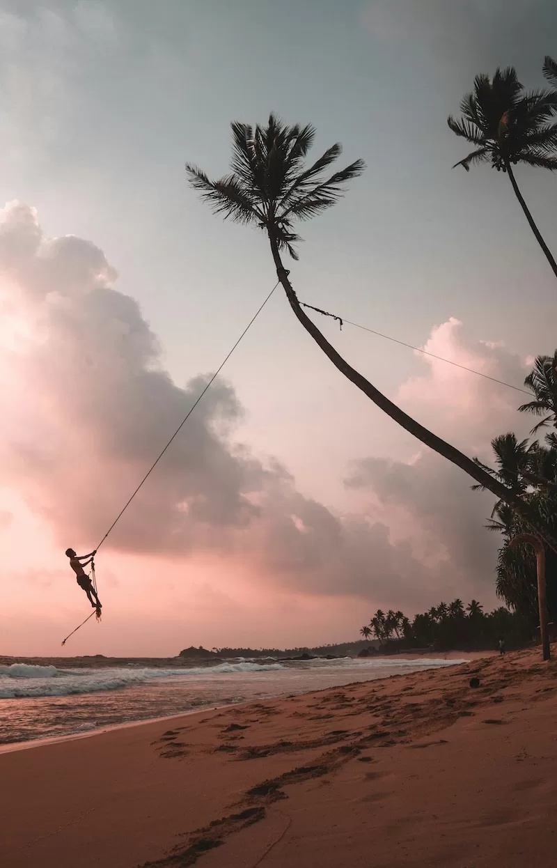 A person swings from a rope tied to a tall leaning palm tree on a Sri Lankan beach at sunset with pink and purple clouds filling the sky over the Indian Ocean