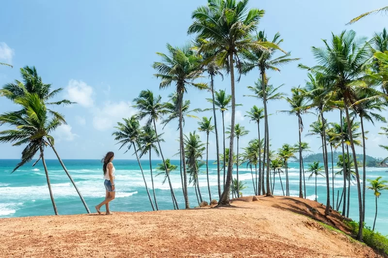 A woman walks barefoot among tall coconut palm trees on a sandy coastal hilltop in Sri Lanka with turquoise ocean waves rolling in behind her under blue skies