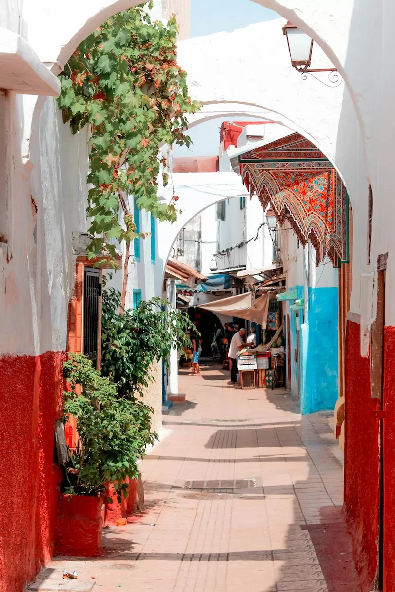 A peaceful, narrow alleyway with white walls, red-painted lower sections, and lush green vines hanging from traditional arches in a coastal city. 