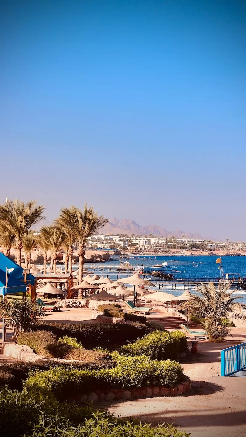 A beautiful Red Sea resort scene in Hurghada with palm trees, thatched umbrellas on a sandy beach, and a wooden pier extending into the blue water.