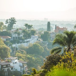 Hillside neighborhood in Mexico with white villas, palm trees, and lush vegetation overlooking the city