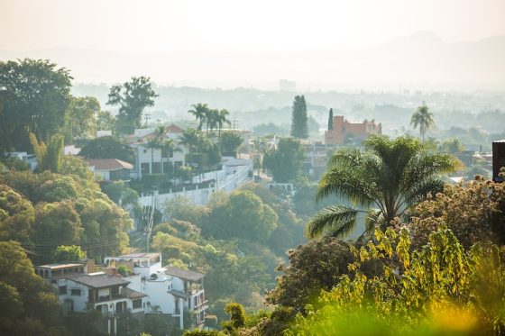 Hillside neighborhood in Mexico with white villas, palm trees, and lush vegetation overlooking the city
