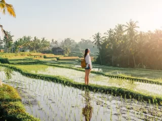 Female traveler standing in Bali rice paddies during golden hour